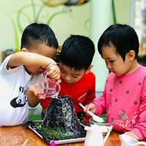 5. Tinh thần hợp tác